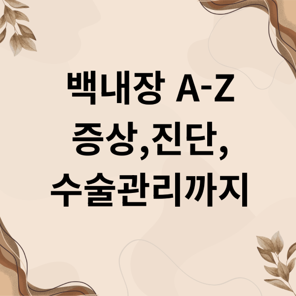 백내장 A Z 증상진단 수술관리까지