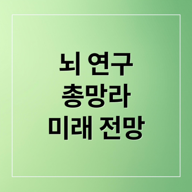 스크린샷 2026 01 22 103046