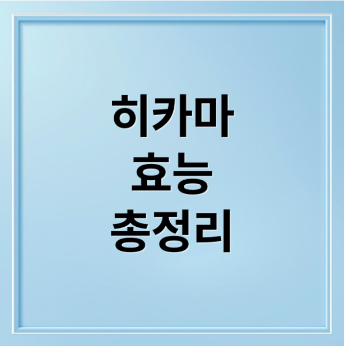 스크린샷 2026 01 27 100642