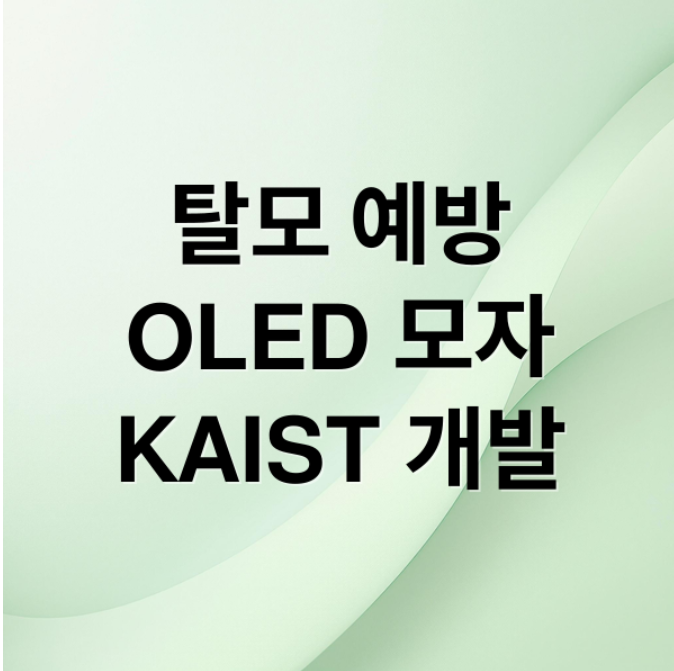 스크린샷 2026 02 02 085342