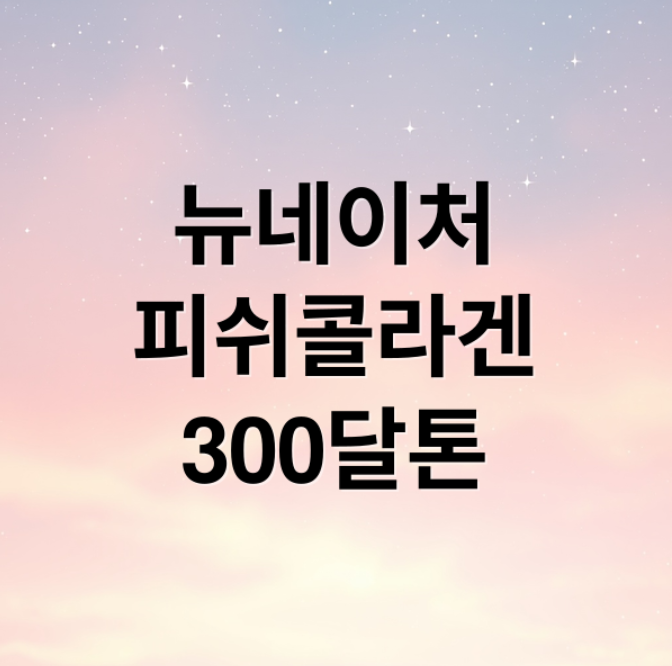 스크린샷 2026 02 07 213114