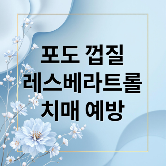 스크린샷 2026 03 03 211357