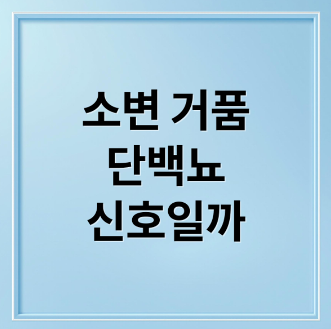 스크린샷 2026 03 03 211944