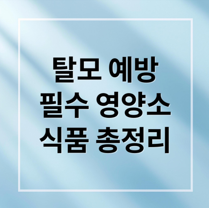 스크린샷 2026 03 15 214342