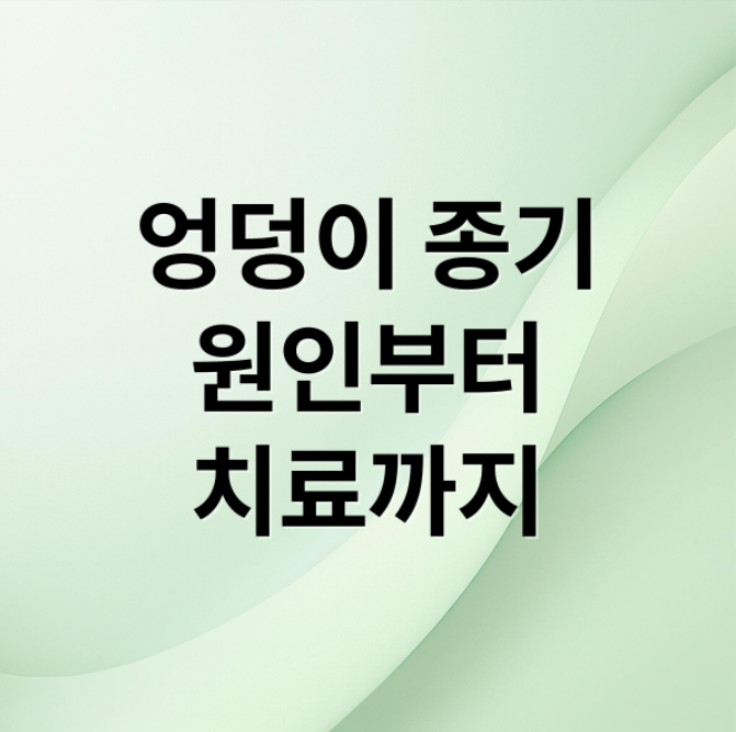 스크린샷 2026 03 19 072849