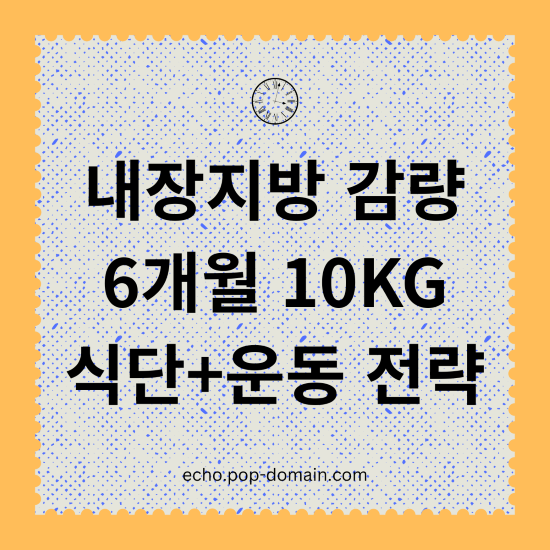 내장지방 감량 6개월 10KG 식단운동 전략
