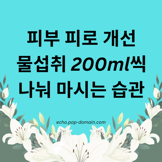 피부 피로 개선 물섭취 200ml씩 나눠 마시는 습관 1