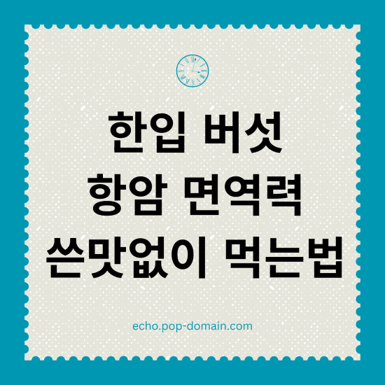 한입 버섯 항암 면역력 쓴맛없이 먹는법