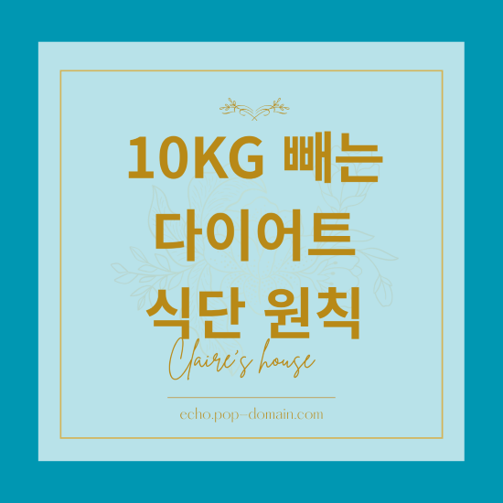 10KG 빼는 다이어트 식단 원칙