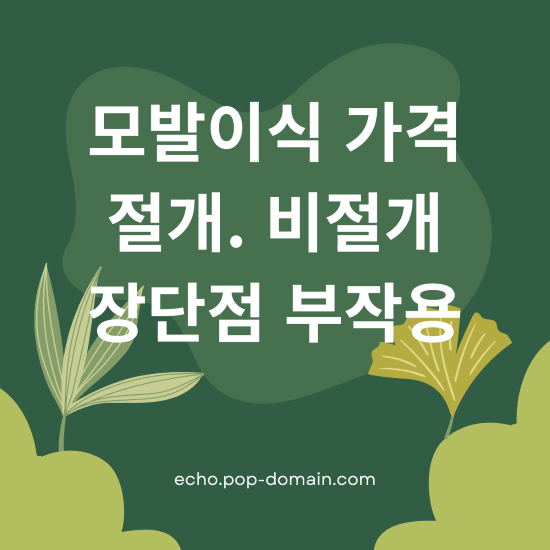 모발이식 가격 장단점 부작용