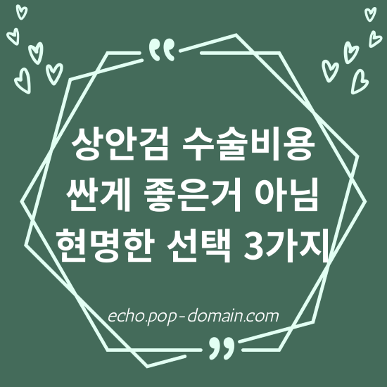 상안검 수술비용 싼게 좋은거 아님 현명한 선택 3가지 1