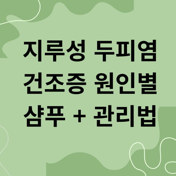 지루성 두피염 건조증 원인별 샴푸 관리법 1