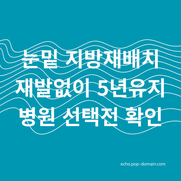 눈밑 지방재배치 재발 없이 5년 유지? 병원 선택 전 '이것' 확인하세요 2 눈밑 지방재배치 재발없이 5년유지 병원 선택전 확인 1