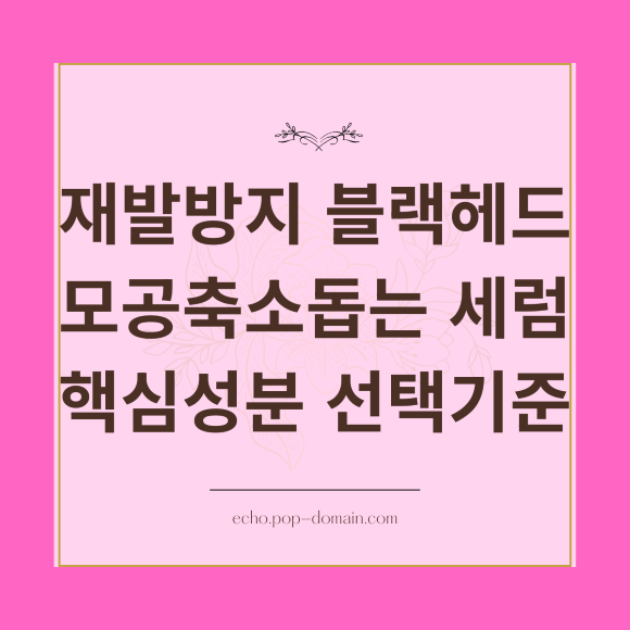 블랙헤드 재발 멈춤! 모공 축소 돕는 피지 세럼 3가지 (성분 분석) 2 재발방지 블랙헤드 모공축소돕는 세럼 핵심성분 선택기준