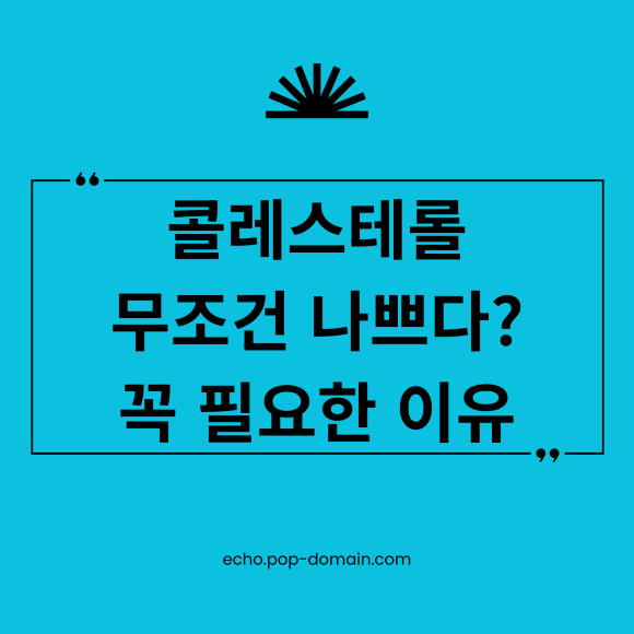 콜레스테롤 무조건 나쁘다 꼭 필요한 이유