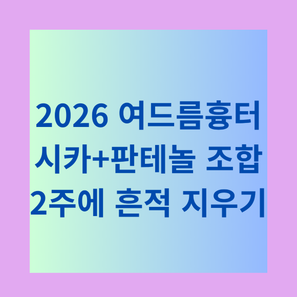2026 여드름흉터 시카판테놀 조합 2주에 흔적 지우기