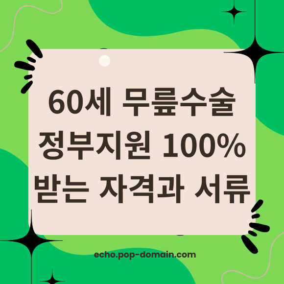 60세 무릎수술 정부지원 100 받는 자격과 서류 1