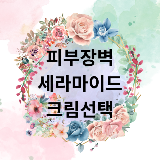 피부장벽 세라마이드 크림선택