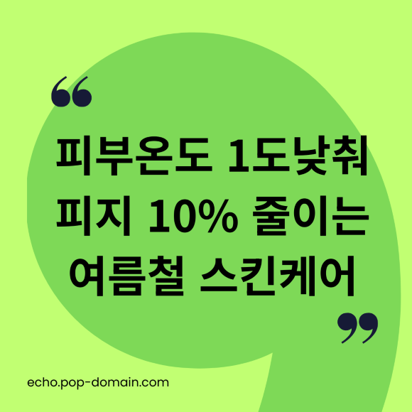 피부온도 1도낮춰 피지 10 줄이는 여름철 스킨케어
