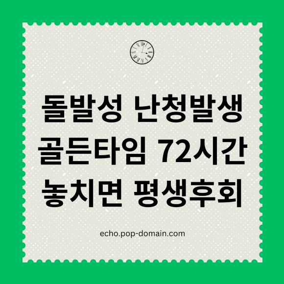 돌발성 난청발생 골든타임 72시간 놓치면 평생후회